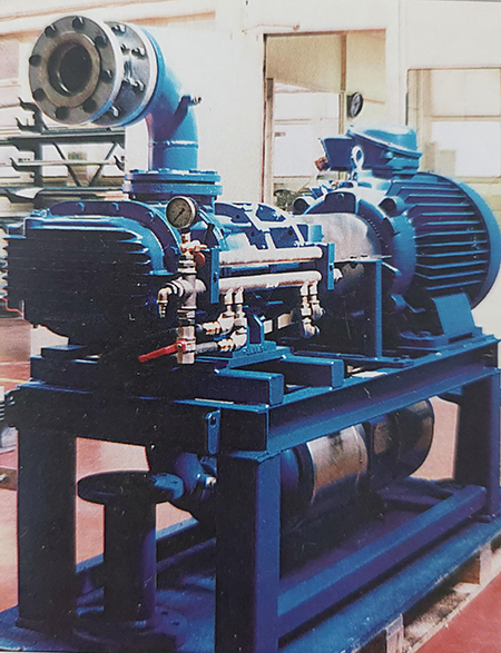 Hibon Hydrogen Rotary Gas Blower