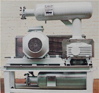 Hibon Hydrogen Positive Displacement Blower